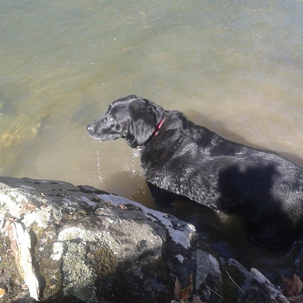 Photo: The water's fine