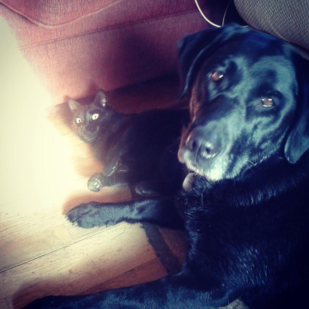 Photo: Buddies
