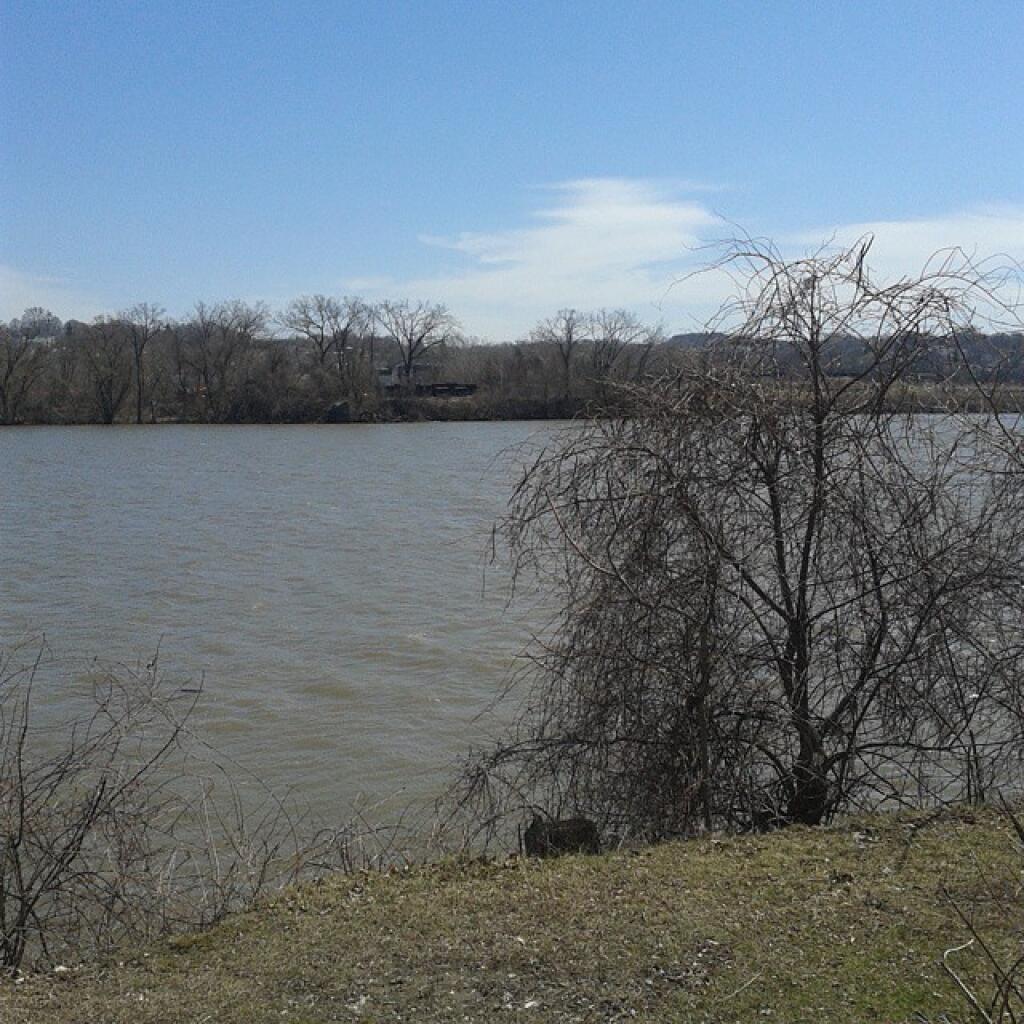 Photo: The river