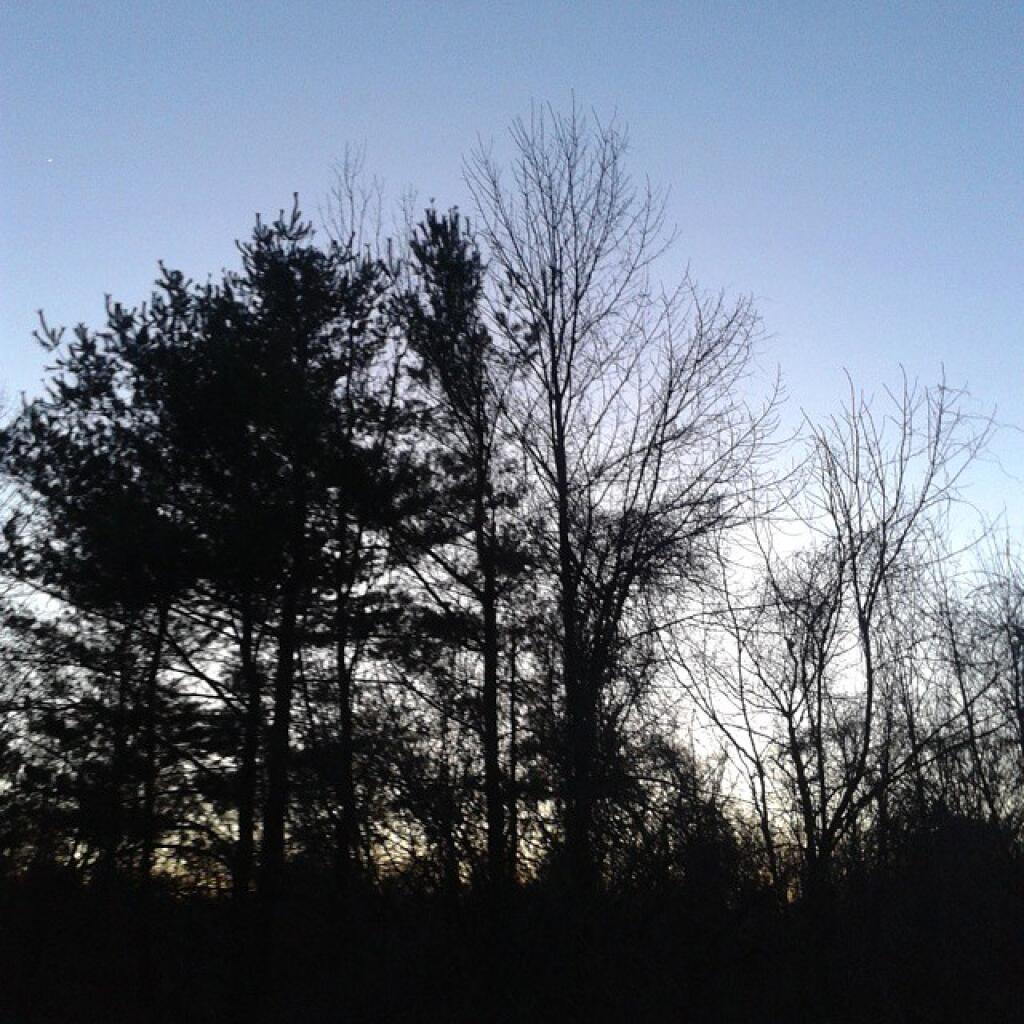 Photo: Dusk
