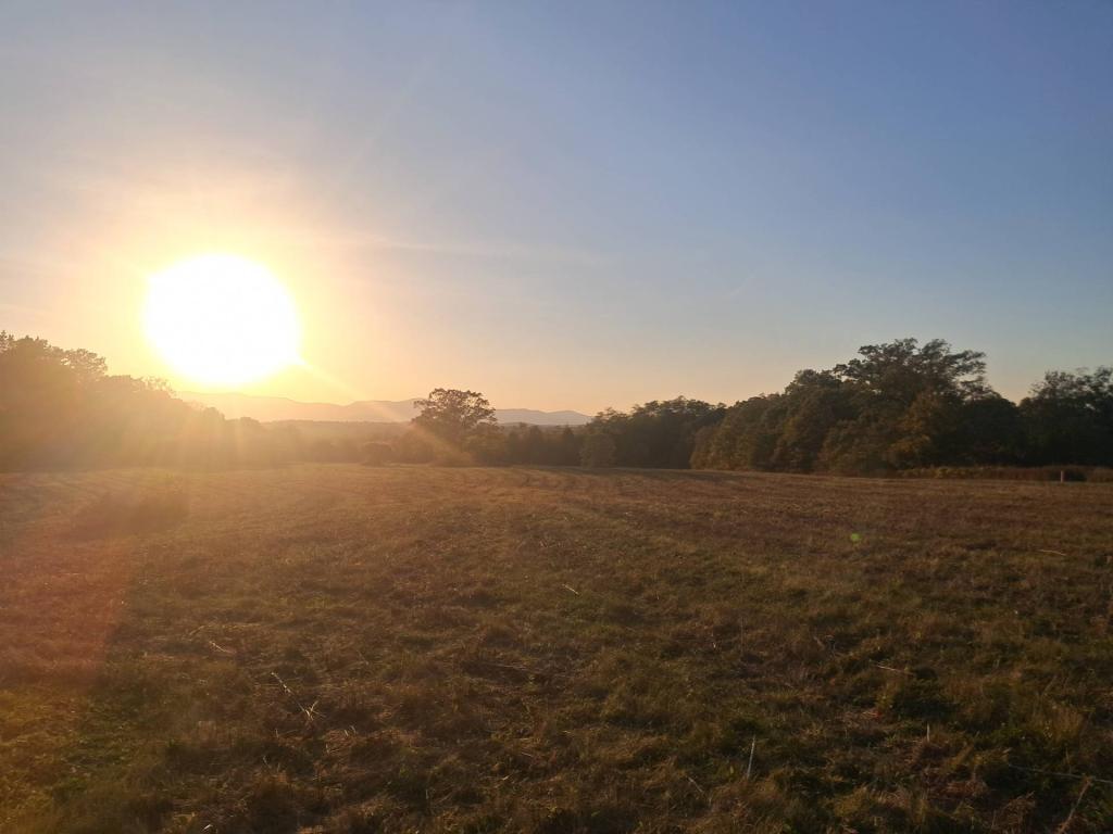 Photo: Afternoon Sun