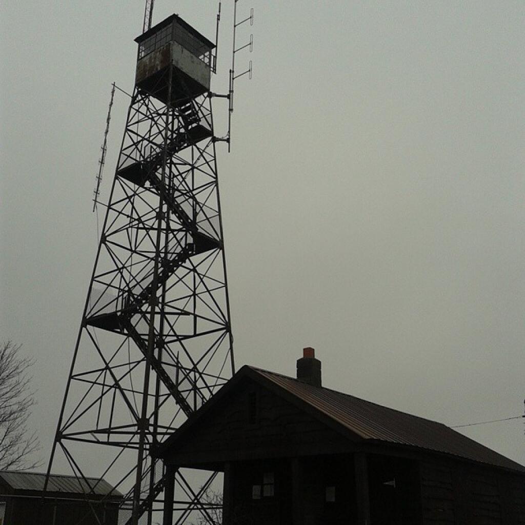 Photo: Fire Tower