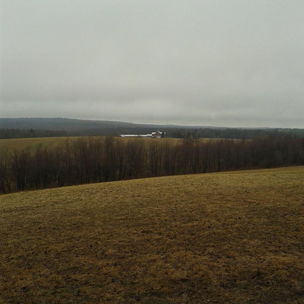 Photo: North