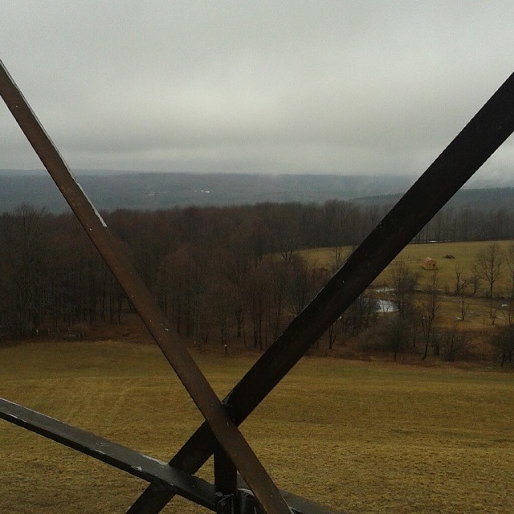 Photo: Foggy afternoon