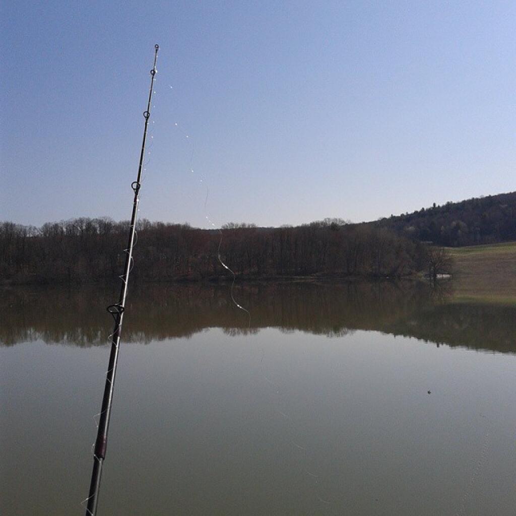 Photo: Nice morning