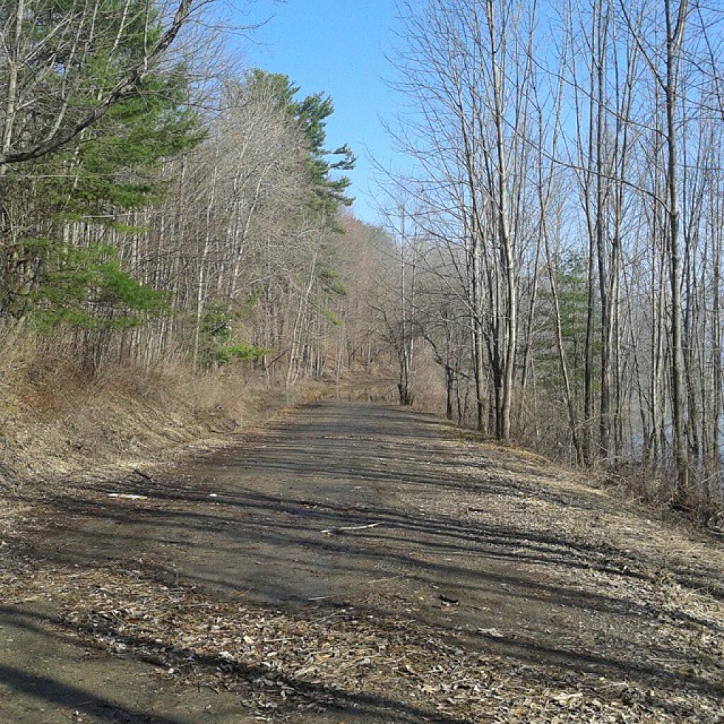 Photo: Water levels are moderately high, Whitney Point Road is closed
