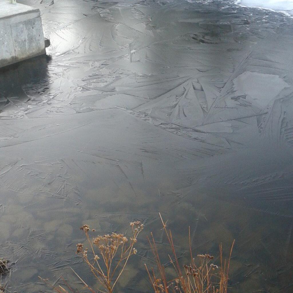 Photo: Balsam Pond was partially frozen last night but by morning was totally frozen over