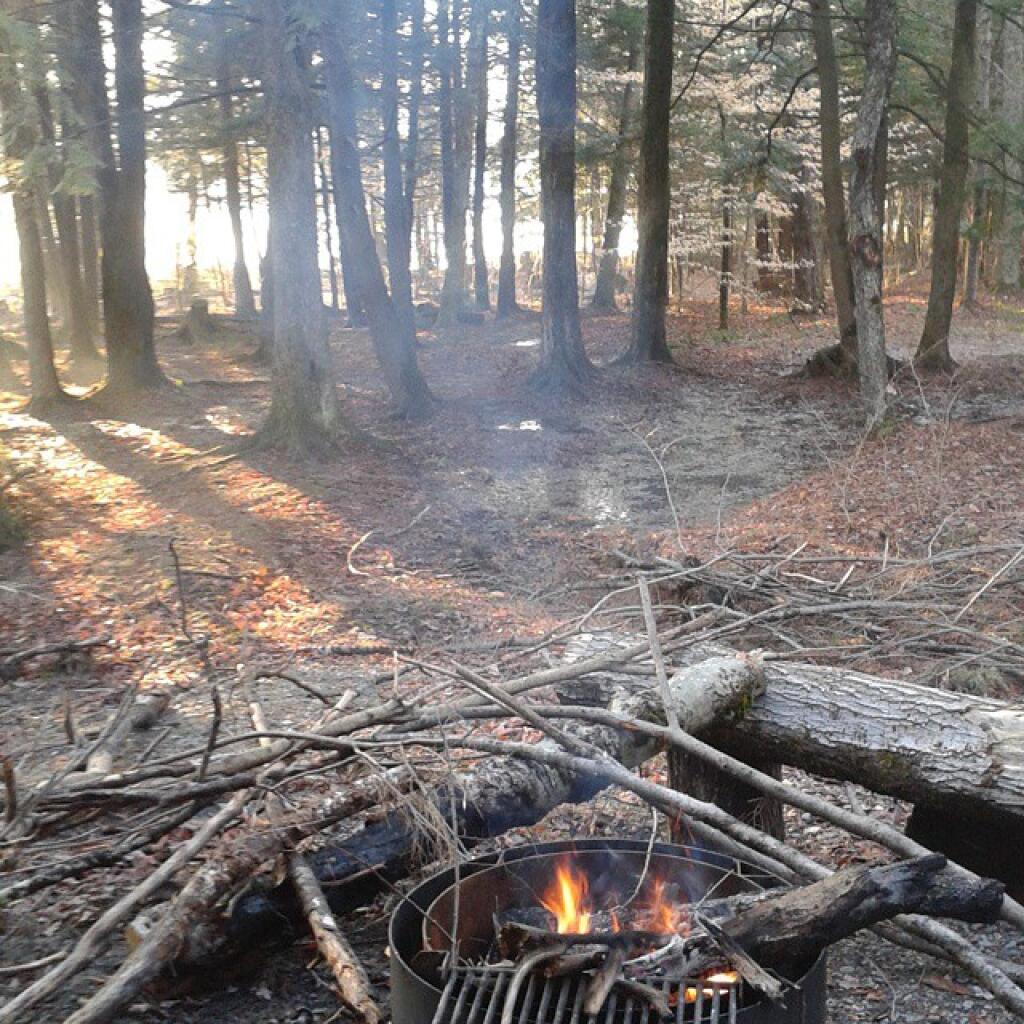 Photo: Starting to clear