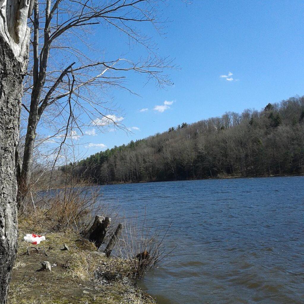 Photo: Nice lake but shallow and weedy