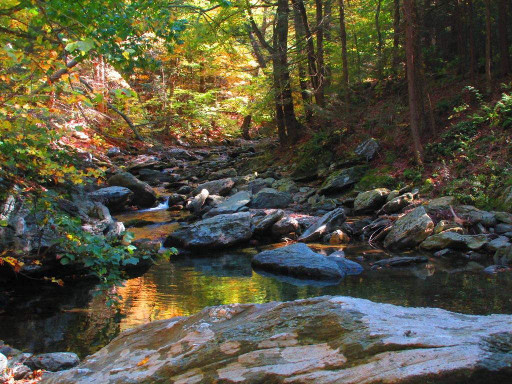 Photo: Bash Bish Creek