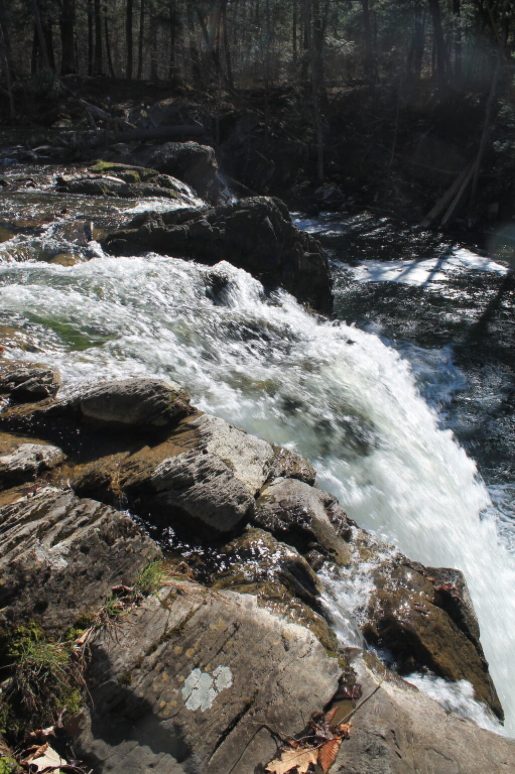 Photo: Hannacroix Falls Yesterday