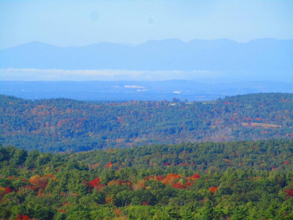 Photo: Fog in the Valley