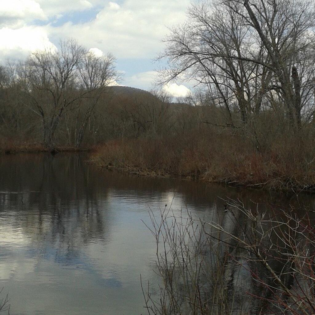 Photo: Earlier today fishing on the Sacandaga River