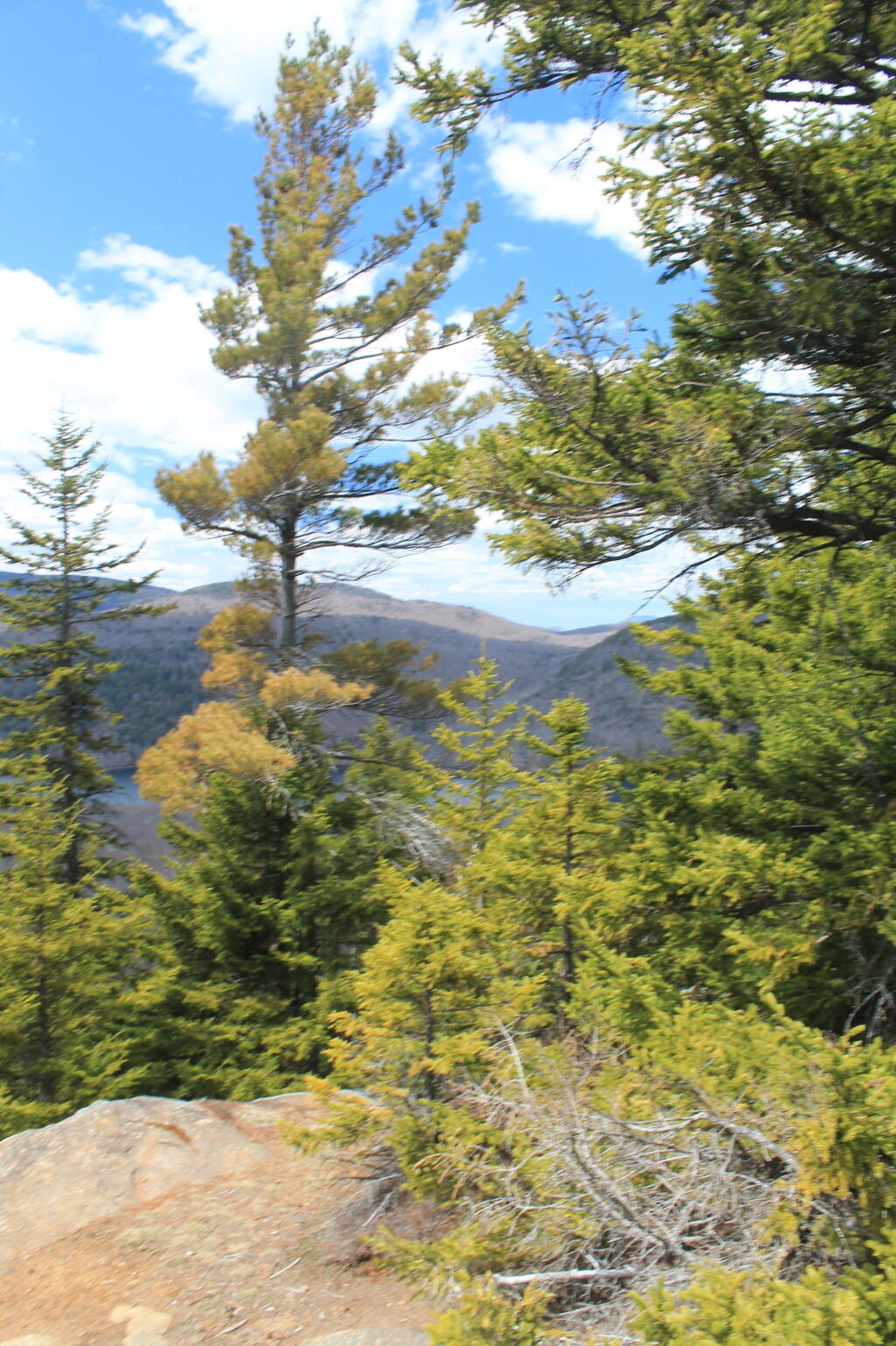 Photo: From the Summit