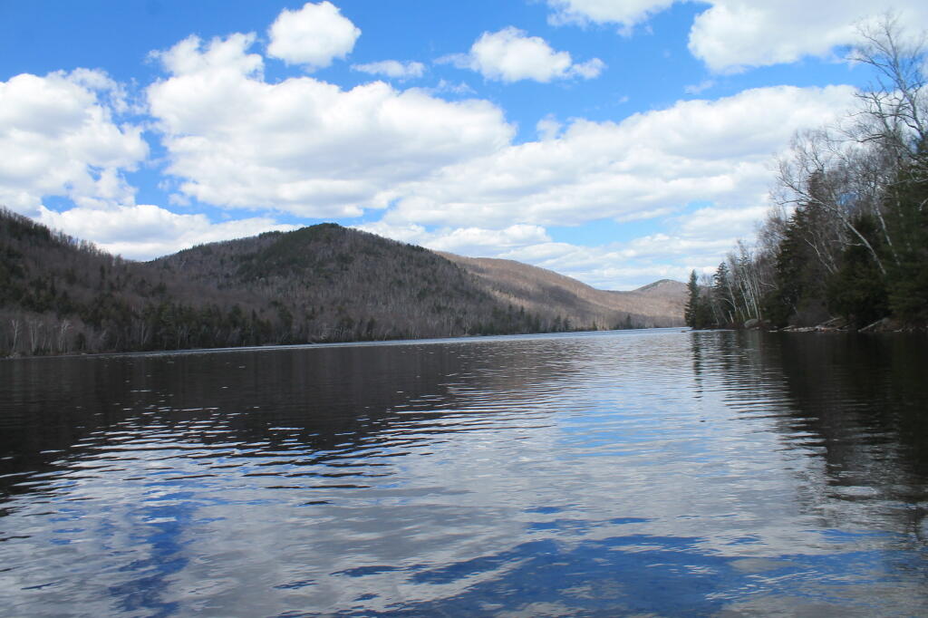 Photo: Placid