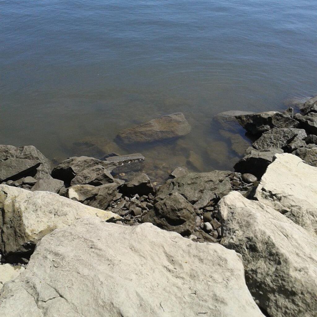 Photo: Low tide