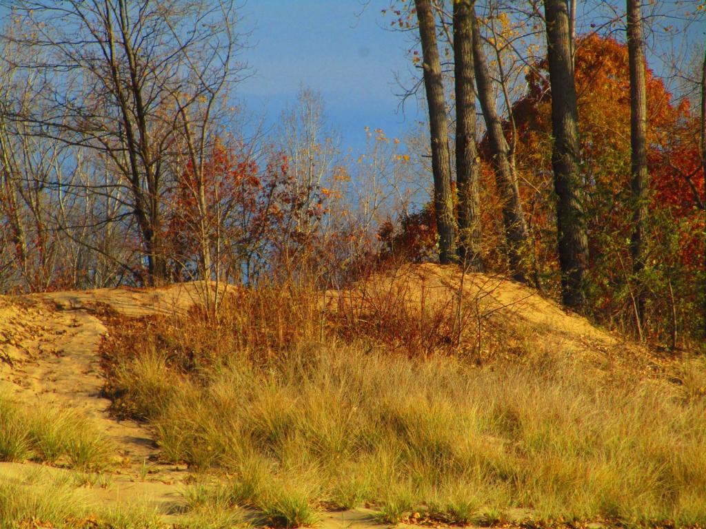 Photo: Sand Dunes Along Lake Champlain