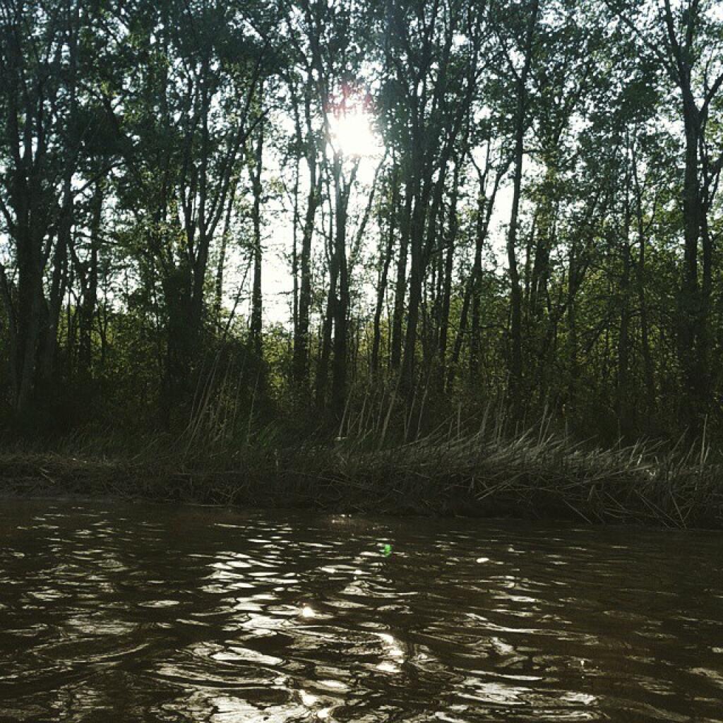 Photo: Late Afternoon