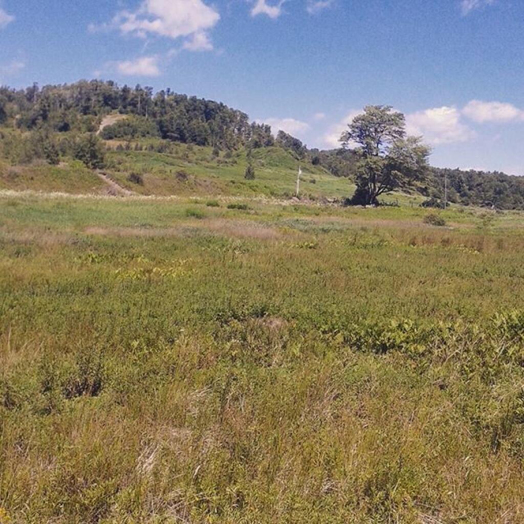 Photo: Hill outside of Gold PA