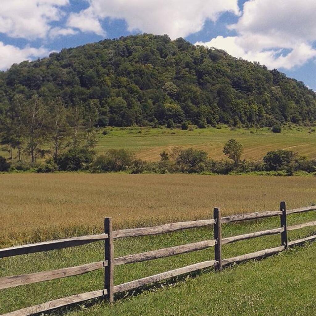 Photo: Along PA 44
