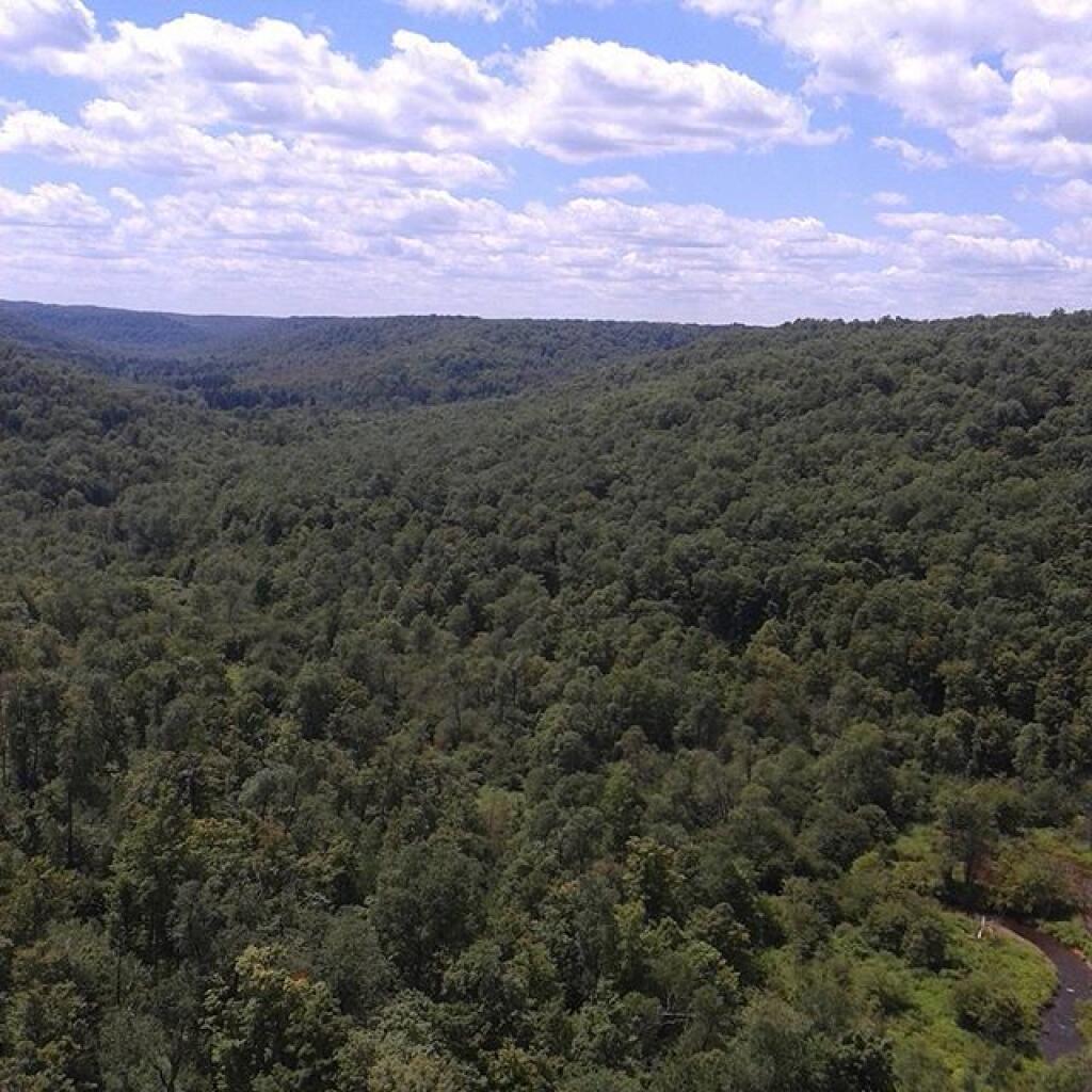 Photo: West in gorge
