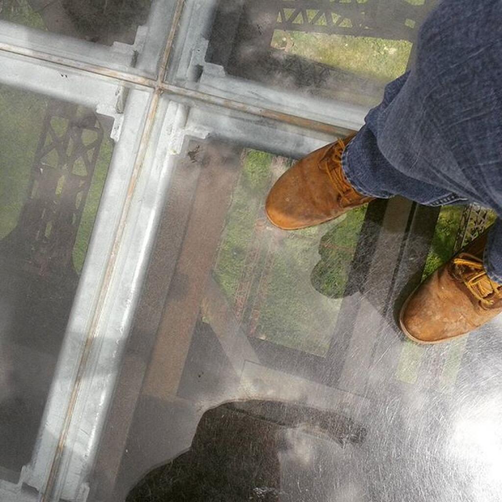Photo: Not afraid of heights too much