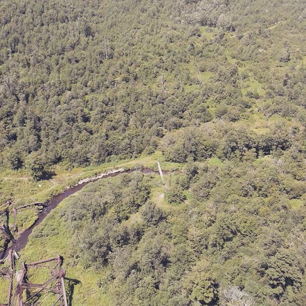 Photo: Pedestrian bridge from Kinzua Bridge