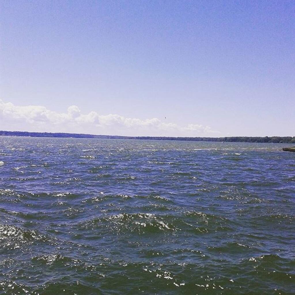 Photo: View from East Pier