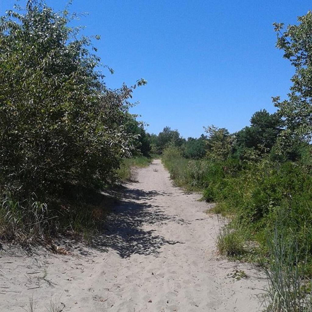 Photo: Dead Pond trail