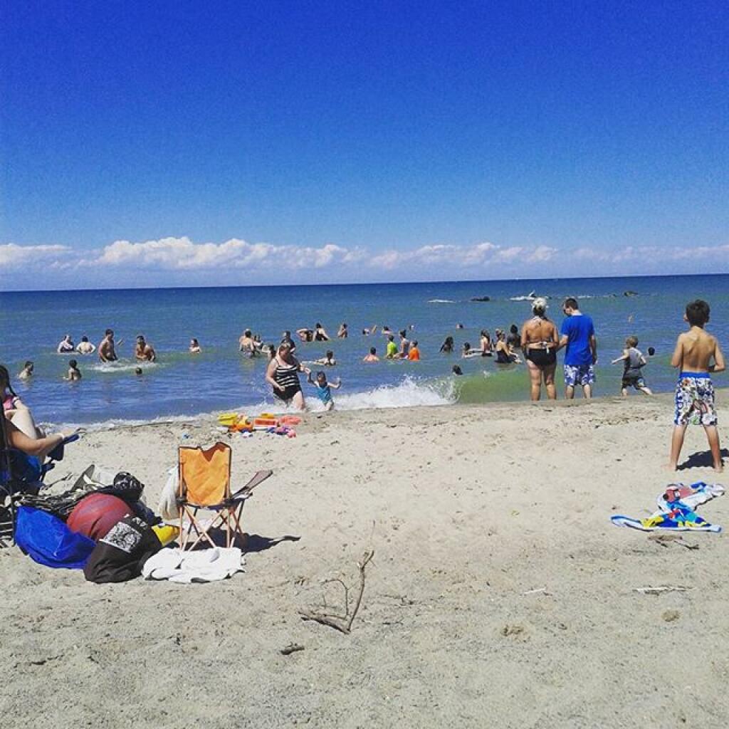 Photo: Life is good at the beach