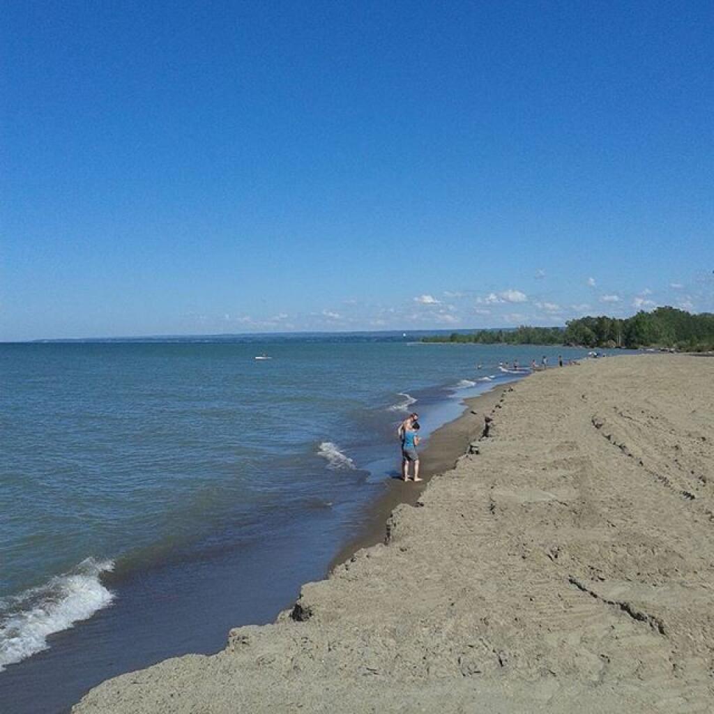 Photo: Gull Point and New York