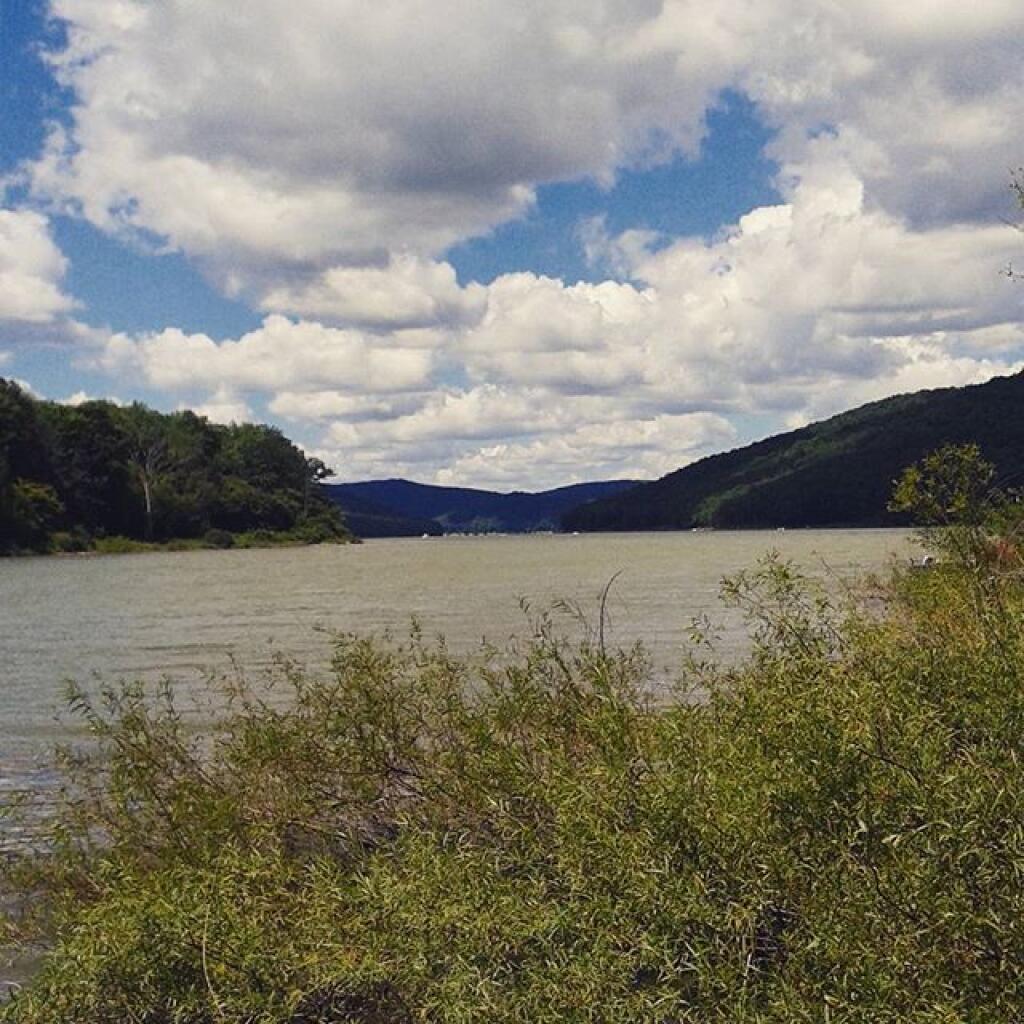 Photo: Sugar Bay on Allegheny Reservoir. Notice the blue-green algae.
