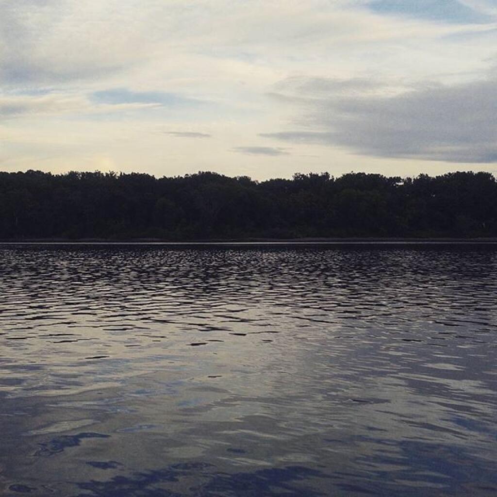 Photo: Low tide