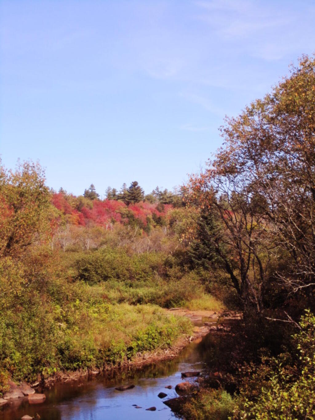 Photo: Moose River