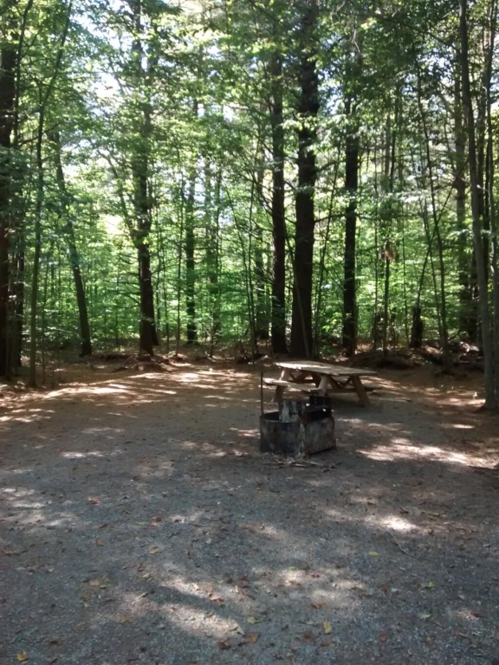 Photo: New Campsite At Otter Creek Photo: New Campsite At Otter Creek