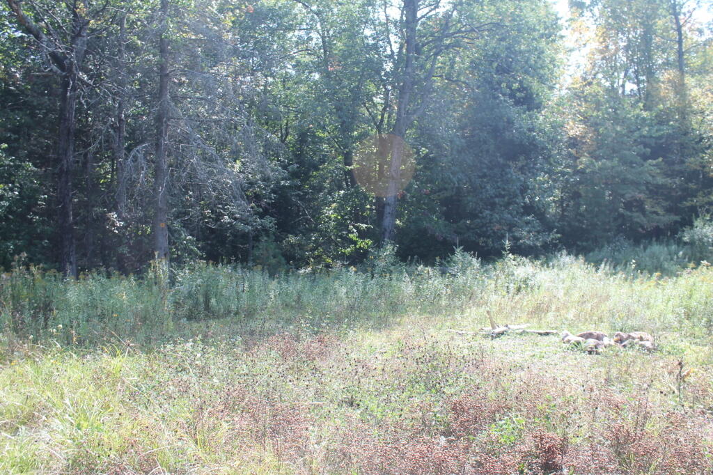 Photo: Another Campsite Along Old Route 8