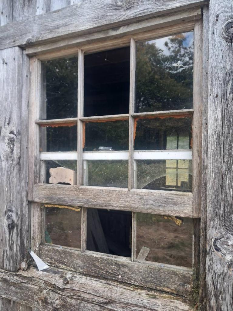 Photo: Window
