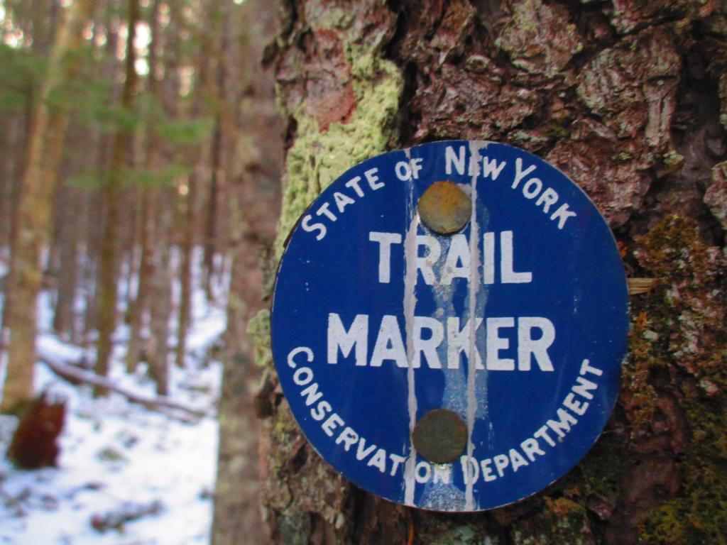Photo: Old Conservation Department Marker