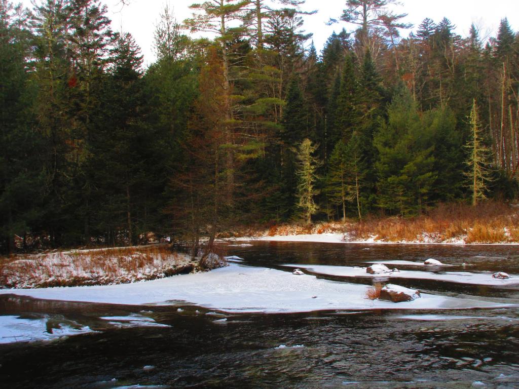 Photo: Island in the Boreas River