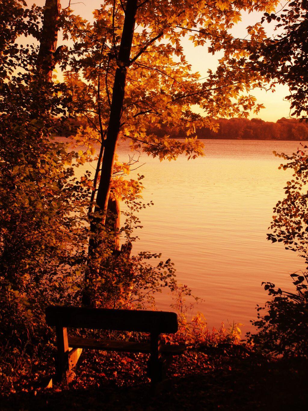 Photo: Bench