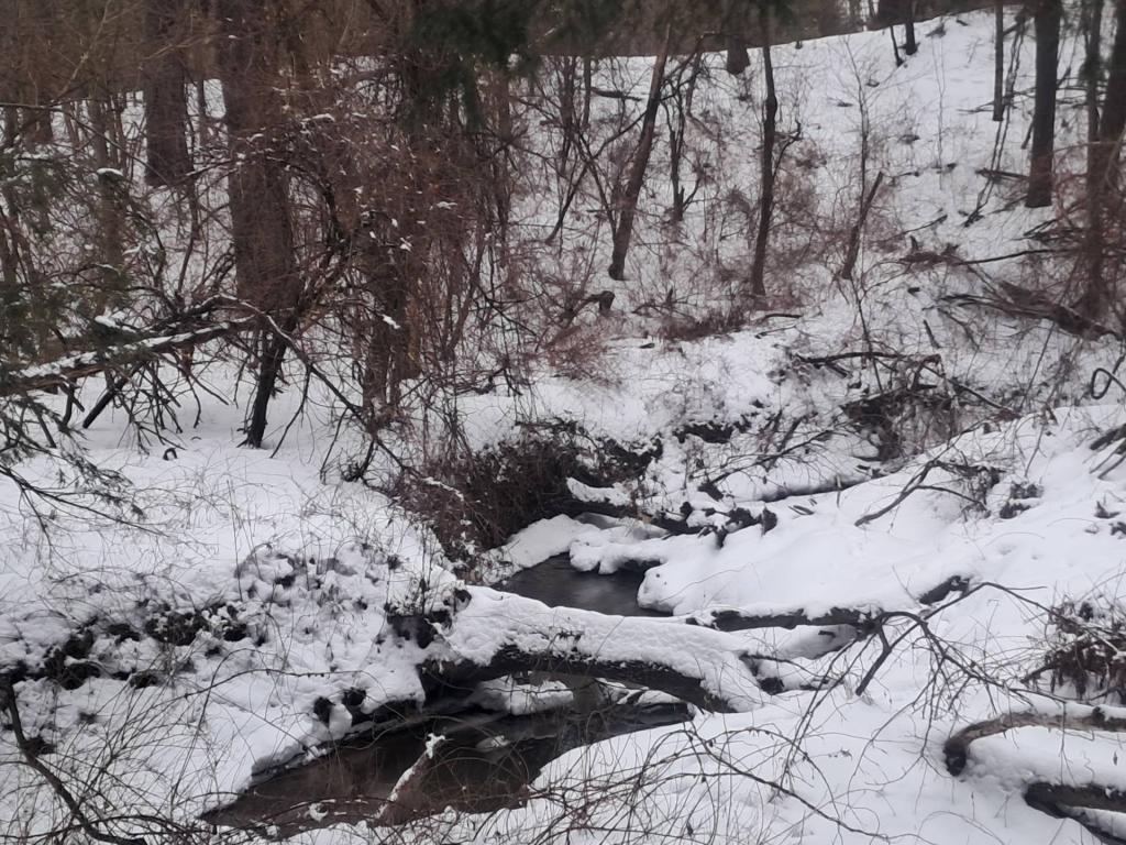 Photo: Creek