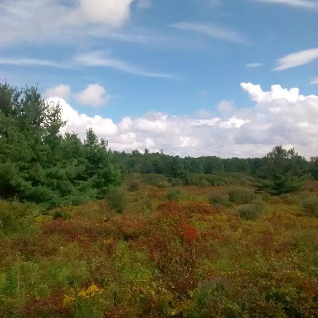 Photo: Late summer
