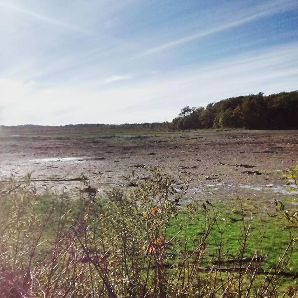 Photo: I wanted to fish and paddle the Whetstone Reservoir. Not today.