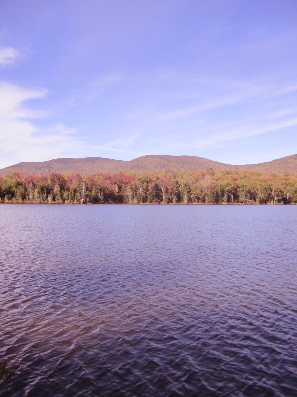 Photo: Towards The Firetower