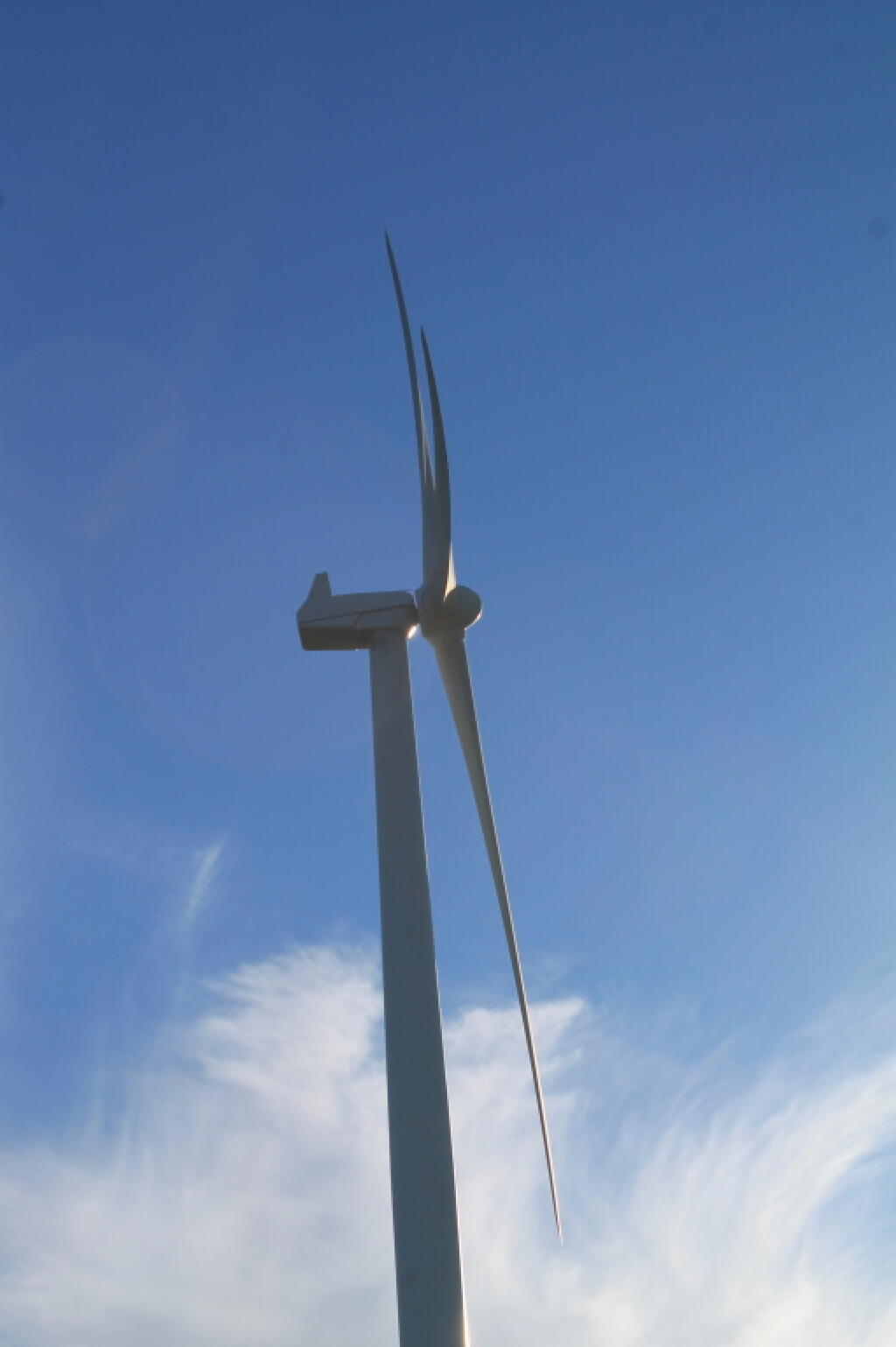 Photo: Wind Turbine Blades