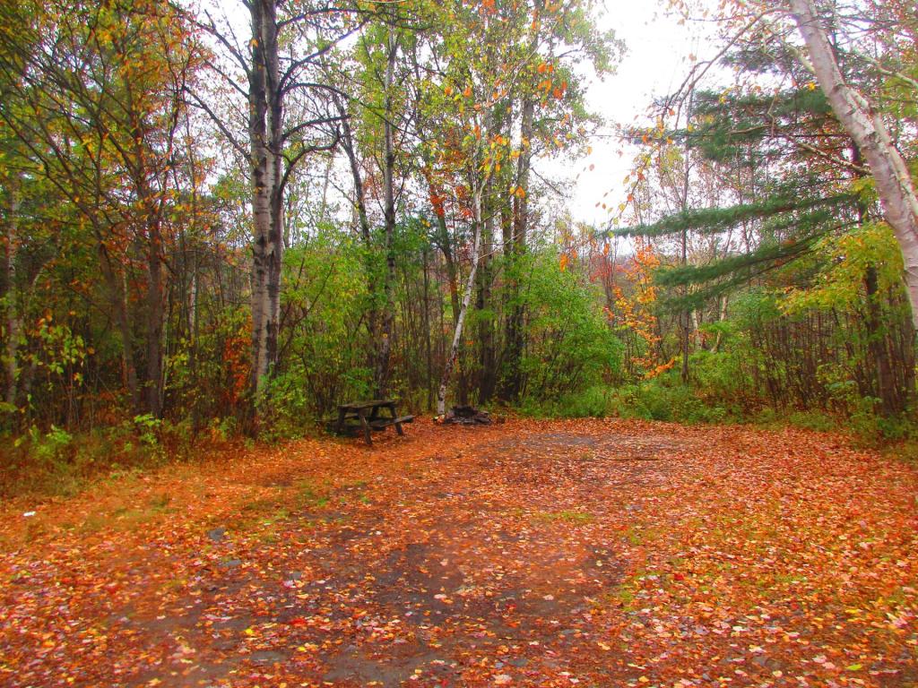 Photo: Free Primative Campsite