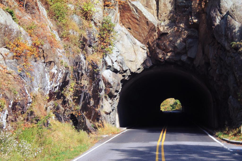 Photo: Tunnel Vision