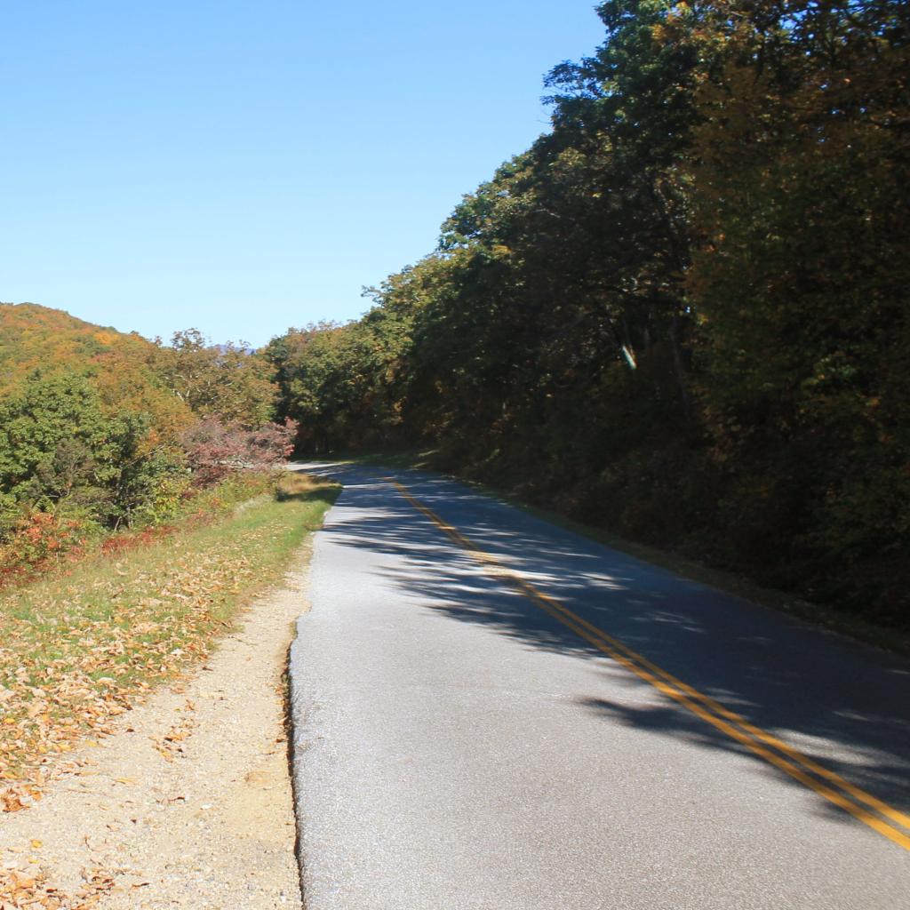 Photo: Along the Parkway