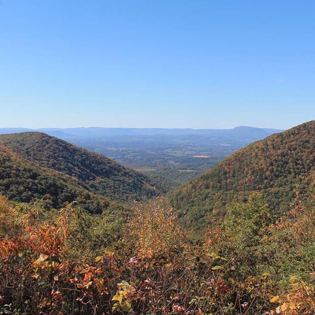 Photo: Farther North on the Parkway