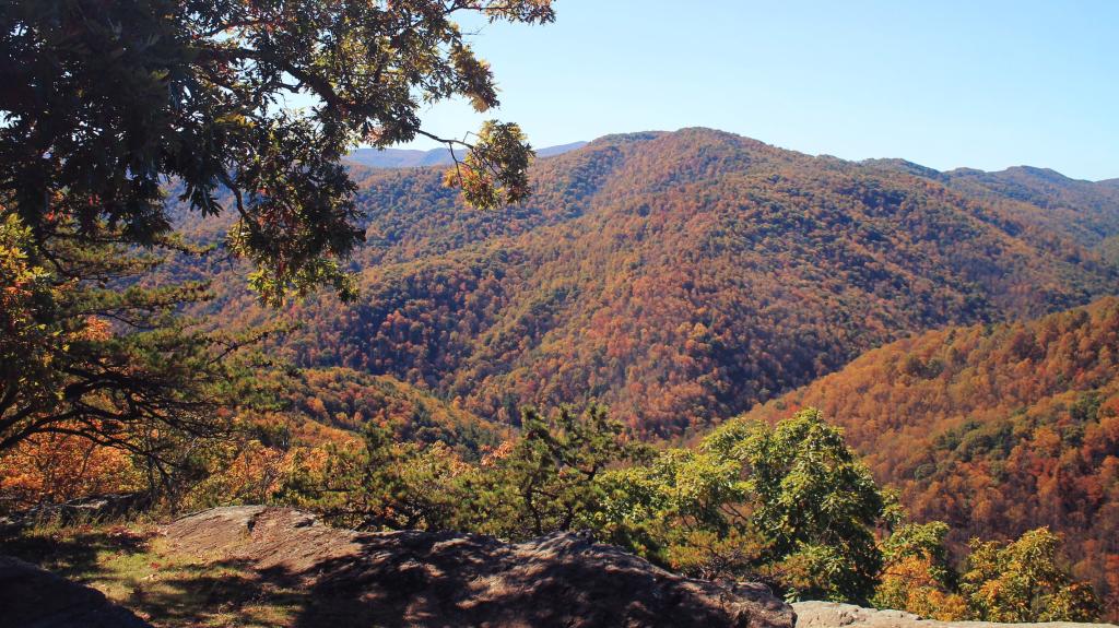 Photo: Along the Parkway